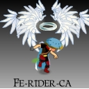 Fe-rider-ca