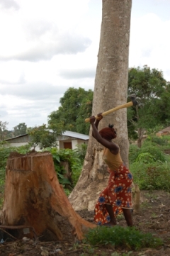 Liberian Woman Chopping Wood