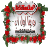 islam_mohsen