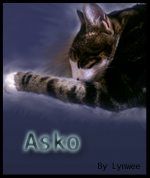 Asko