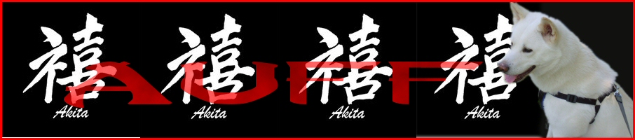 Akita EZRA