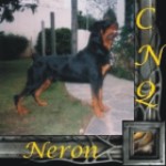 NERON