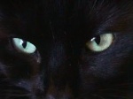 Kat's eyes
