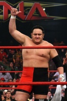 Samoa Joe