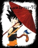 Trancheur-57.