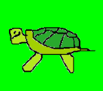 MrTurtle