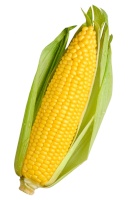 NotCorn