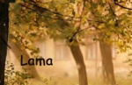 Lama