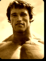 Arlong Schwarzenegger