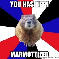 marmotplay