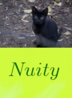 Nuity ♪