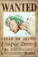 Super Zoro