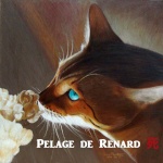 Pelage de Renard