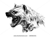 la hyène
