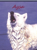 Aysa