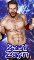 Sami Zayn