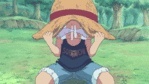 Luffy-Nakama