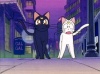 Luna y Artemis Smcha127