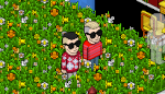 Habbo Furni 13212-25