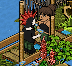 News Habbo Italia 7795-42