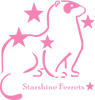 starshineferrets