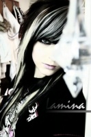 Lamina