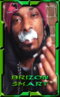 Brizon_SmarT