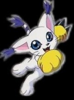 Gatomon123