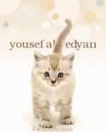 yousef_wedyan