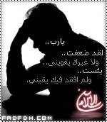 ابن الاسلام