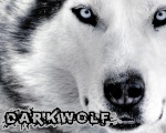 DarkWolf