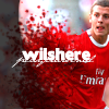 Wilshere04