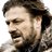 Eddard Stark