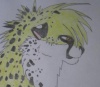 Kyo in normaler Form/Gepard