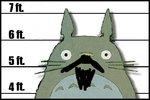 totoro31