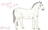 my picture, made by me for me
horse banner for howrse
made August 10, 2012