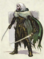 Drizzt