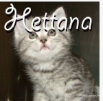 Hettana