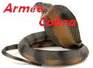 armée cobra