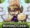 MonkeyDCezar