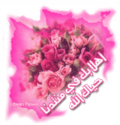 السلام عليكم 3465689101