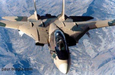 عکس جنگنده f14 سری یک 110_400x250