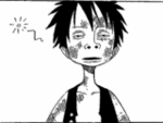 Luffy51100