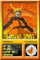 Naruto Spirit