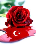 miss_turkish