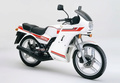 Montesa 234-13