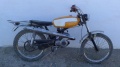 Montesa 2344-41