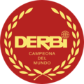 Derbi 3116-31