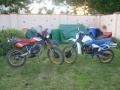 Derbi 353-87