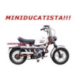 Miniducatista